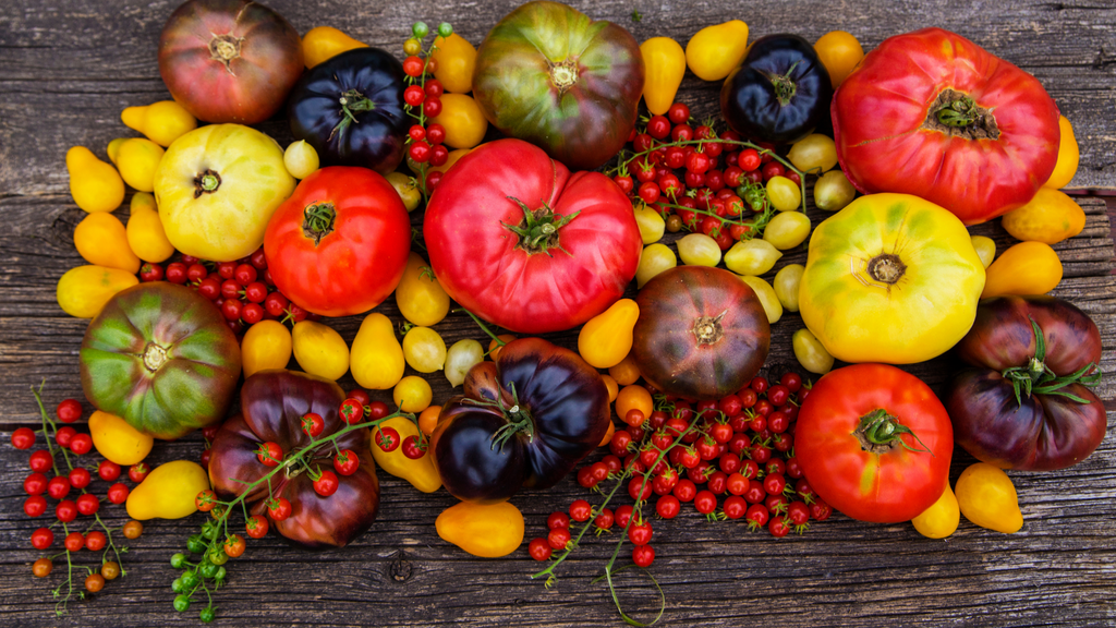 Growing and Selling Heirloom Tomatoes at Farmers Markets: A Guide for Aspiring Growers