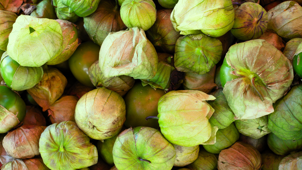 Tomatillo